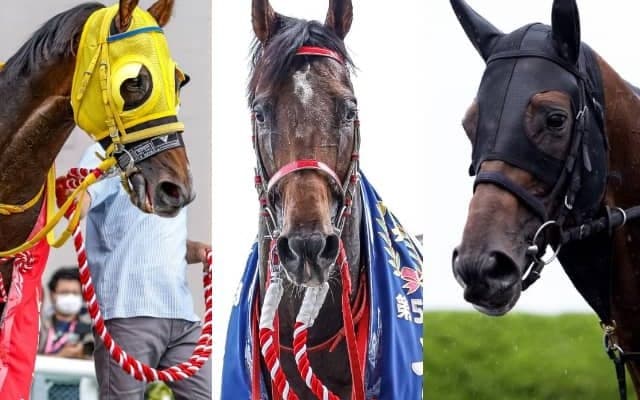 【新潟記念想定】七夕賞覇者エヒト、3歳馬フェーングロッテン、2019年覇者ユーキャンスマイルなど17頭