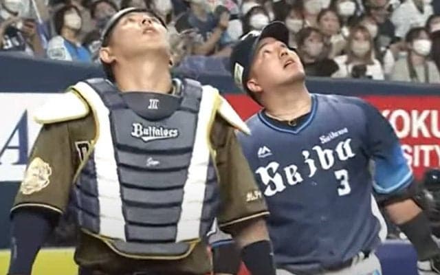 選手も審判も「全員上見てんの面白い」　突如消えた打球に「唖然とするわ」