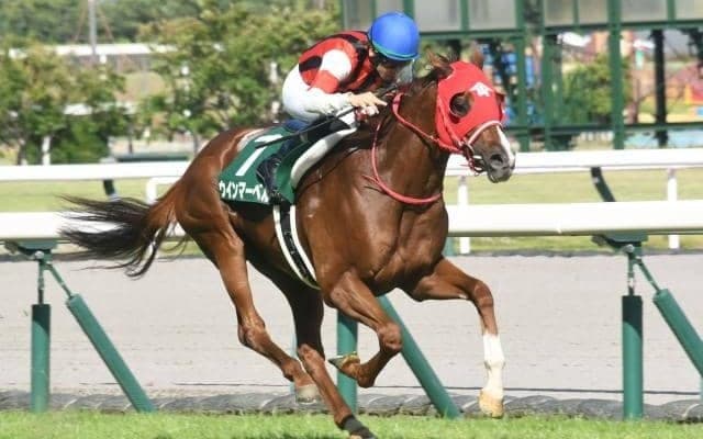 【キーンランドC予想】あの「大穴馬」にも警戒!? 馬体で見る洋芝通用の有力馬