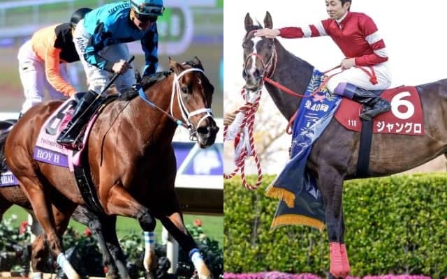 名種牡馬モアザンレディが25歳で死亡　ロイエイチ、モアジョイアスなど北半球・南半球で名馬を多数輩出