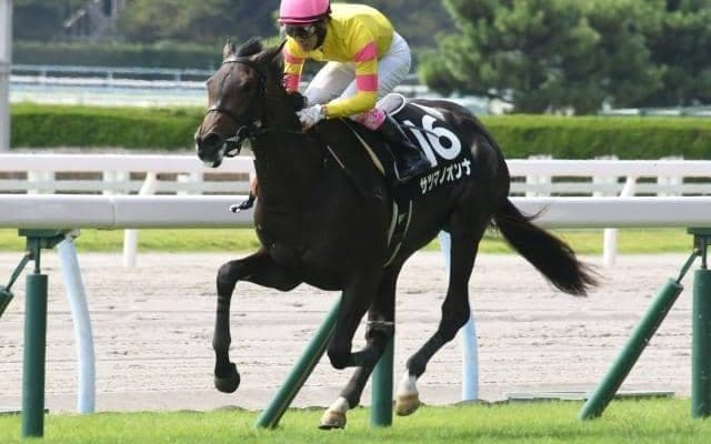 【ひまわり賞結果】鹿児島馬サツマノオンナが2番手から抜け出して無傷2連勝