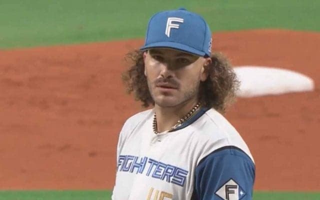 日本ハム・ポンセがノーヒットノーラン　史上最多タイの年間5人目、82年ぶり珍事