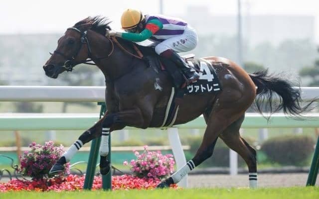 【キーンランドC前日オッズ】ヴァトレニが5.4倍で1番人気、トウシンマカオが続く