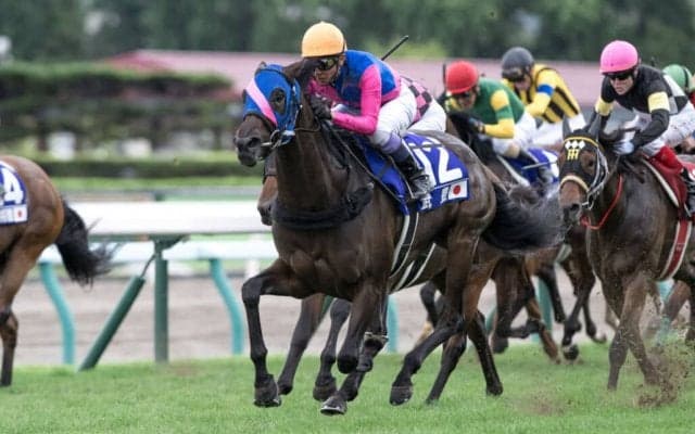 【WASJ・第1戦】初戦を武豊が制する