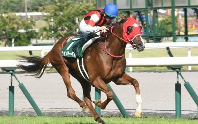 【今日の注目ポイント】札幌でキーンランドC、新潟では新潟2歳S