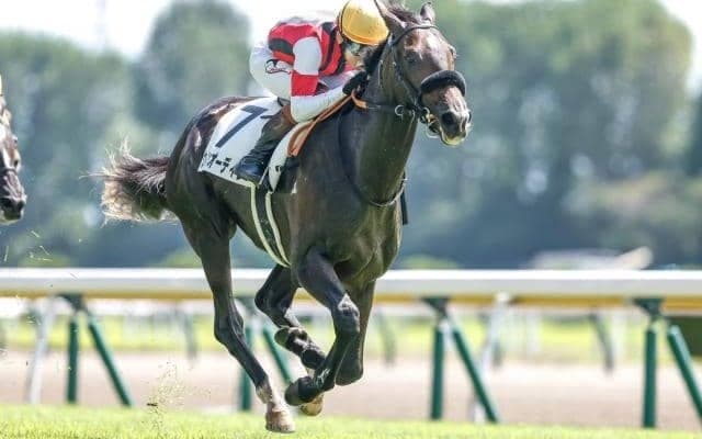 【新潟2歳S予想】若き馬達がマイル馬最強を目指す