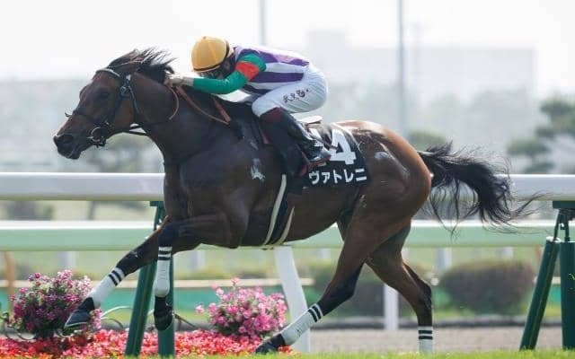 【キーンランドC予想】スプリンターズSへの出走権をかけた晩夏のスプリント重賞