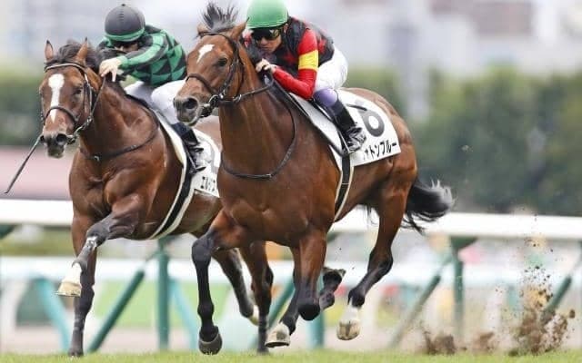 【札幌5R新馬戦結果】シルバーステートの半弟フォトンブルーがV