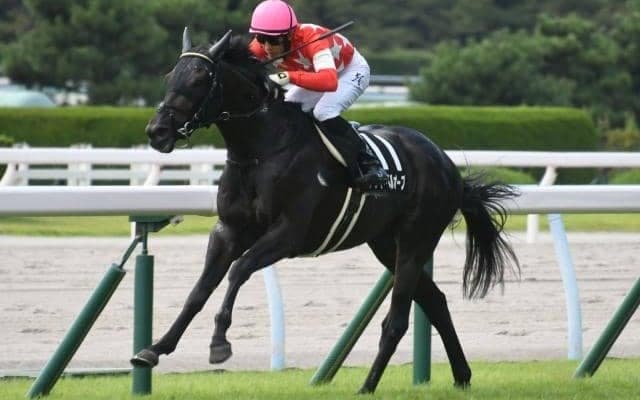 【小倉日経OP結果】レッドベルオーブが大逃げを決めて快勝