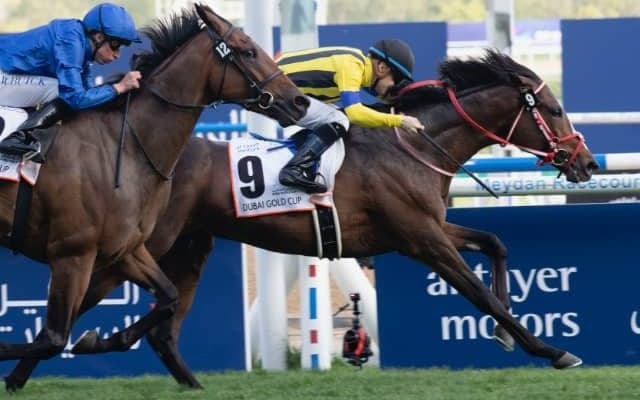 【仏G2・ドーヴィル大賞出馬表】22時55分発走！ ステイフーリッシュが海外3連勝に挑む