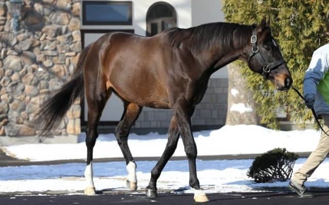 ダノンバラード産駒がJRA重賞初制覇　新潟2歳Sをキタウイングが勝利