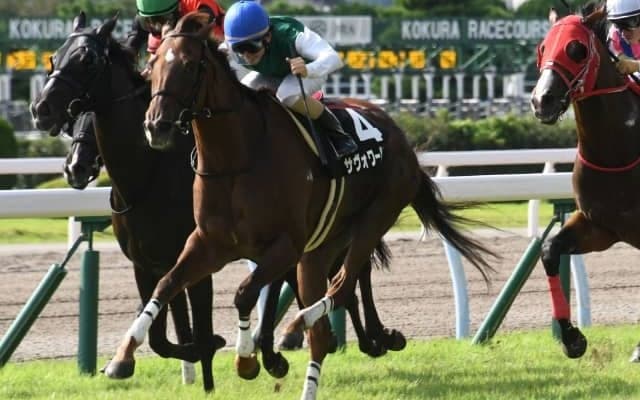 8月28日の競走中止、競走除外、疾病の一覧 サヴォワールエメ出走取消など/札幌・新潟・小倉