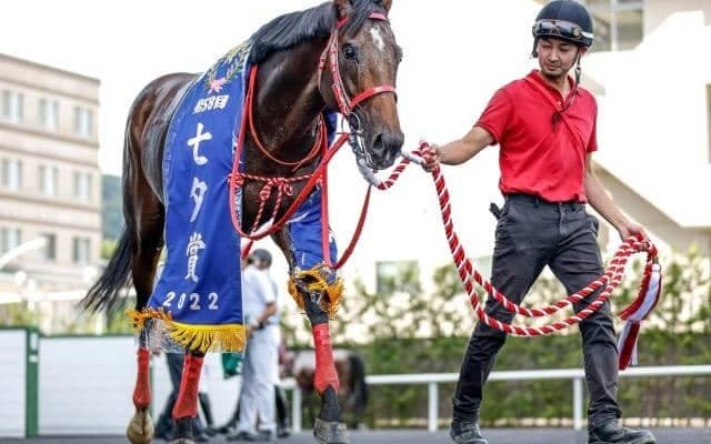 出世レースの札幌2歳Sと小倉2歳S、夏競馬を締めくくる新潟記念/今週の競馬界の見どころ
