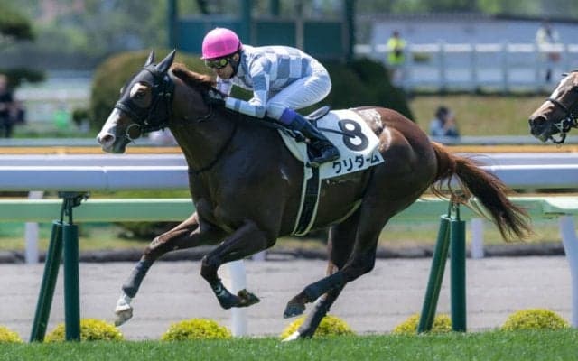 【小倉2歳S登録馬】クリダームなど16頭
