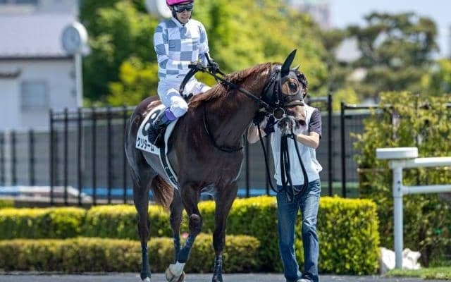 【小倉2歳S見どころ】クリダームの重賞初制覇なるか