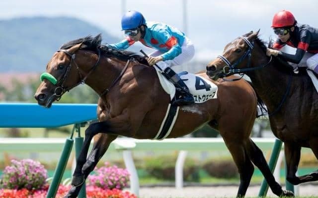 【札幌2歳S見どころ】ブラストワンピースの全弟ブラストウェーブら有望株が激突