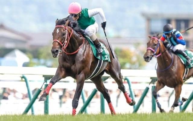 【新潟記念見どころ】夏競馬を締めくくるハンデ重賞を制すのは