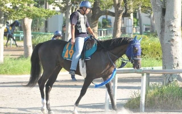 両親がともに“キズナ”　同名配合で話題呼ぶオールアイズオンなど/関東馬メイクデビュー情報