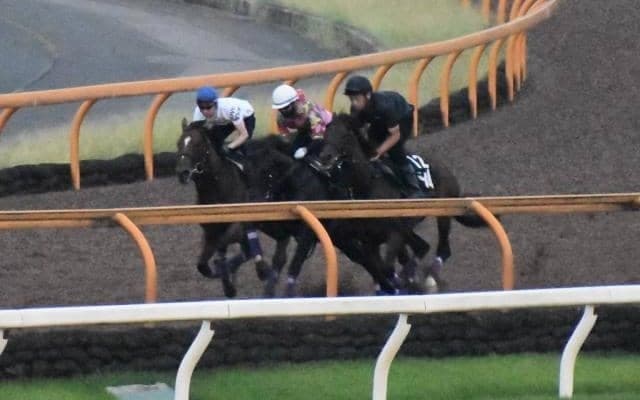 新馬から期待十分、ハーツクライ産駒のドウフォルス/関西馬メイクデビュー情報