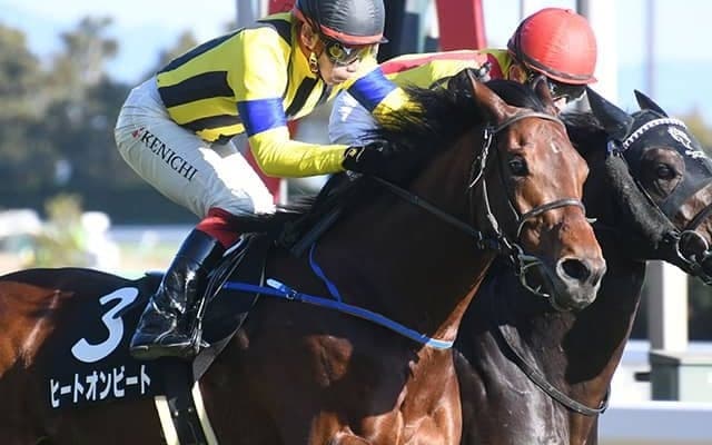 【AI予想・新潟記念】あとはハンデ次第!? 疑いようのないポテンシャルで待望の重賞初制覇へ