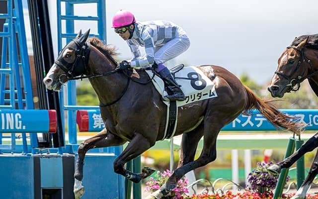 【小倉2歳S想定騎手】クリダームは武豊騎手、ミカッテヨンデイイは今村聖奈騎手