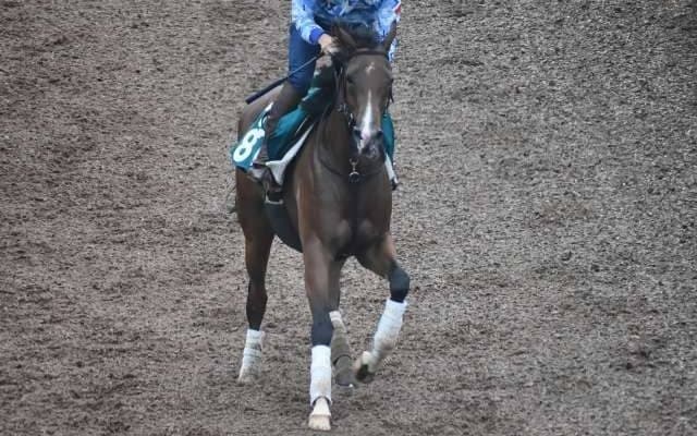 アウクソーなど、先週の入厩情報/栗東トレセンニュース