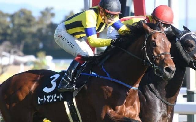 【新潟記念予想オッズ】ヒートオンビートが予想1番人気