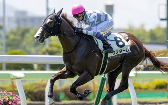 【小倉2歳S予想オッズ】クリダームが予想1番人気