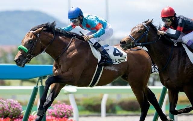 【札幌2歳S予想オッズ】ブラストワンピースの全弟ブラストウェーブが予想1番人気