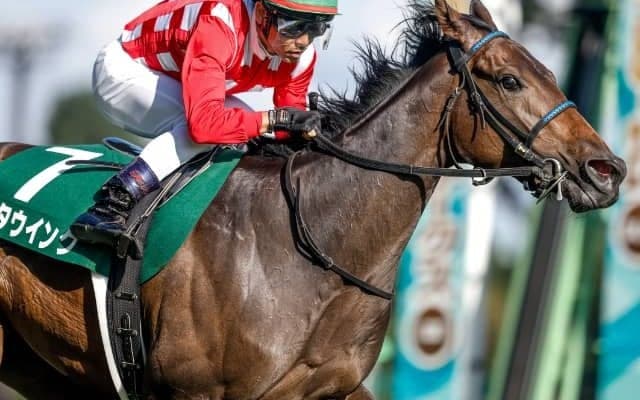 【次走】新潟2歳S覇者キタウイングは阪神JFが目標 「最大の目標は来年の桜花賞」