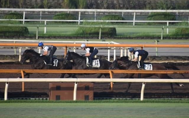 ベレヌス＆ミスニューヨーク、京成杯AH1週前追い切り速報/栗東トレセンニュース