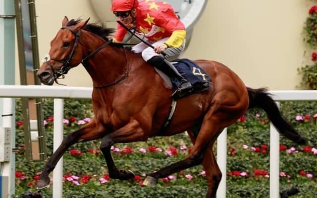 4ヶ国でG1を制したアイルランドの名馬が引退、種牡馬入り