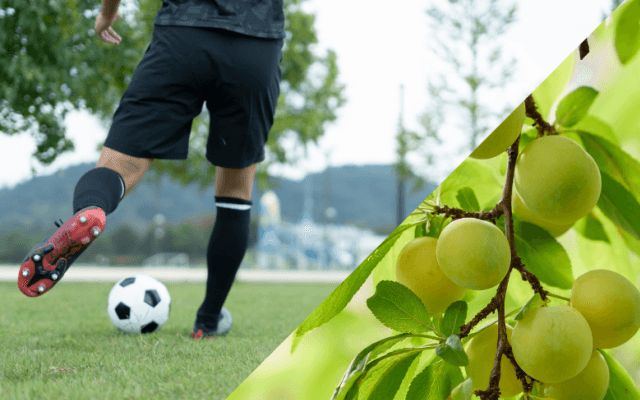 地方に移住して農業をしながらサッカー。スポーツで地域貢献するアスリートの新しい生き方