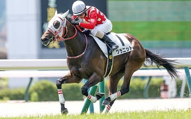 【次走】グラニットは放牧へ 未勝利戦を逃げて3馬身差Vのミルファーム所有馬