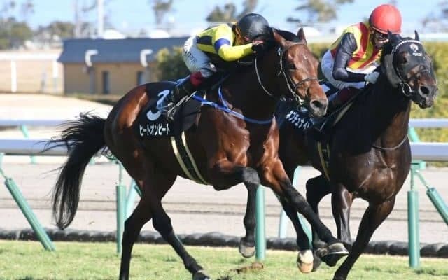 【新潟記念出走馬・騎手確定】ヒートオンビート＆池添謙一騎手、サンレイポケット＆鮫島克駿騎手など18頭