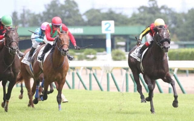 【新馬/新潟5R】キズナ産駒 クロスライセンスがデビューV