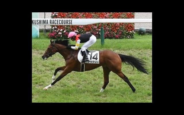 小倉２歳Ｓはディープインパクト系の牝馬に期待。のちにGⅠ戦線へと羽ばたきそうな２頭は？