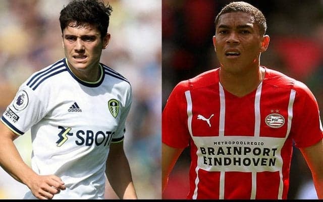 フルアムがダン・ジェームズとカルロス・ヴィニシウスを獲得！