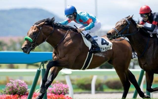 【札幌2歳S枠順確定】ブラストウェーブは4枠6番、ダイヤモンドハンズは1枠1番