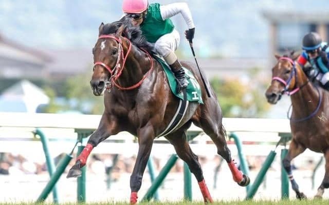 【新潟記念枠順確定】ヒートオンビートは3枠5番、エヒトは5枠9番