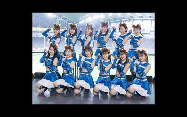 「きつねダンス」で球場を盛り上げるファイターズガール12名の素顔。ダンスの魅力、熱くなった試合を語ってもらった