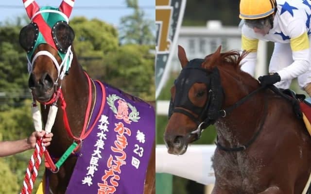 9月4日開催の韓国G3にラプタス、セキフウが出走予定　発走時刻はそれぞれ15時35分、16時35分