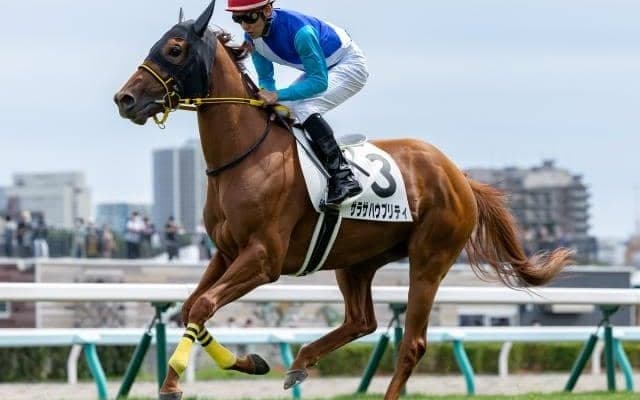 【札幌5R新馬戦結果】9番人気サラサハウプリティが内から抜け出す