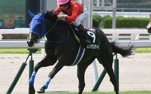 【小倉2歳S予想】キャリアは不要!? クラシックにも繋がる素質馬揃いの短距離戦