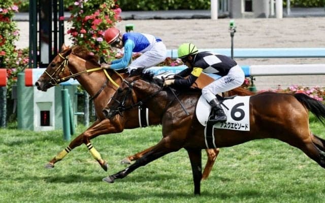 【新馬/札幌5R】ドレフォン産駒 サラサハウプリティがデビューV