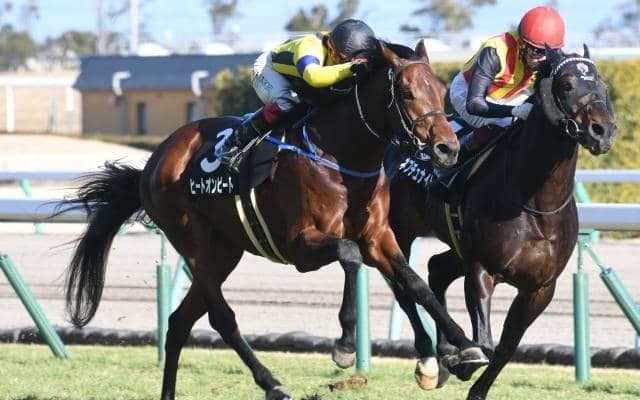 【今日の注目ポイント】夏競馬のフィナーレ新潟記念、スプリント出世レース小倉2歳S