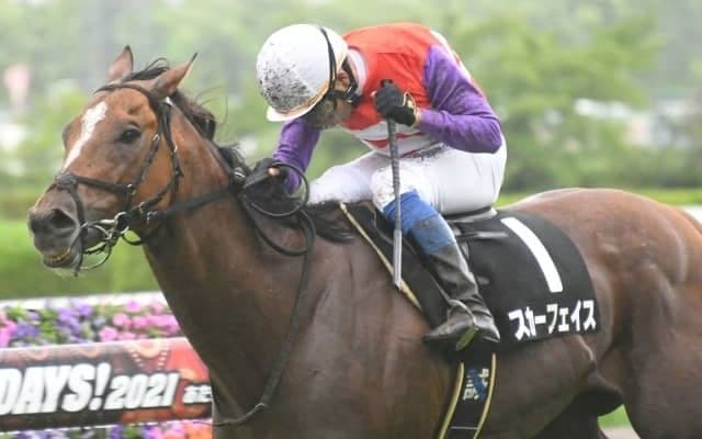 【新潟記念予想】多頭数のハンデ戦、サマー2000シリーズの最終戦を制するのは？