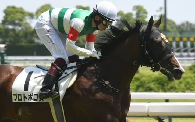 【小倉2歳S予想】過去10年は平穏に収まりがちなキャリアの浅い馬同士のレース