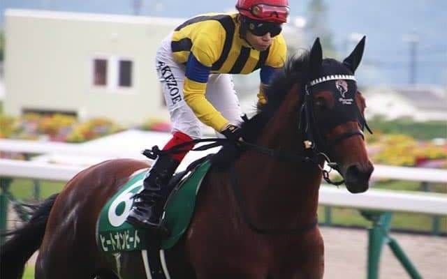 【新潟記念・馬体重】ヒートオンビートは480kg(+4)、カイザーバローズは462kg(+18)