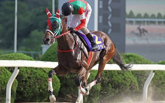 【コリアスプリント結果】地元のオマオマがV　日本のラプタスは競り合いに敗れ2着